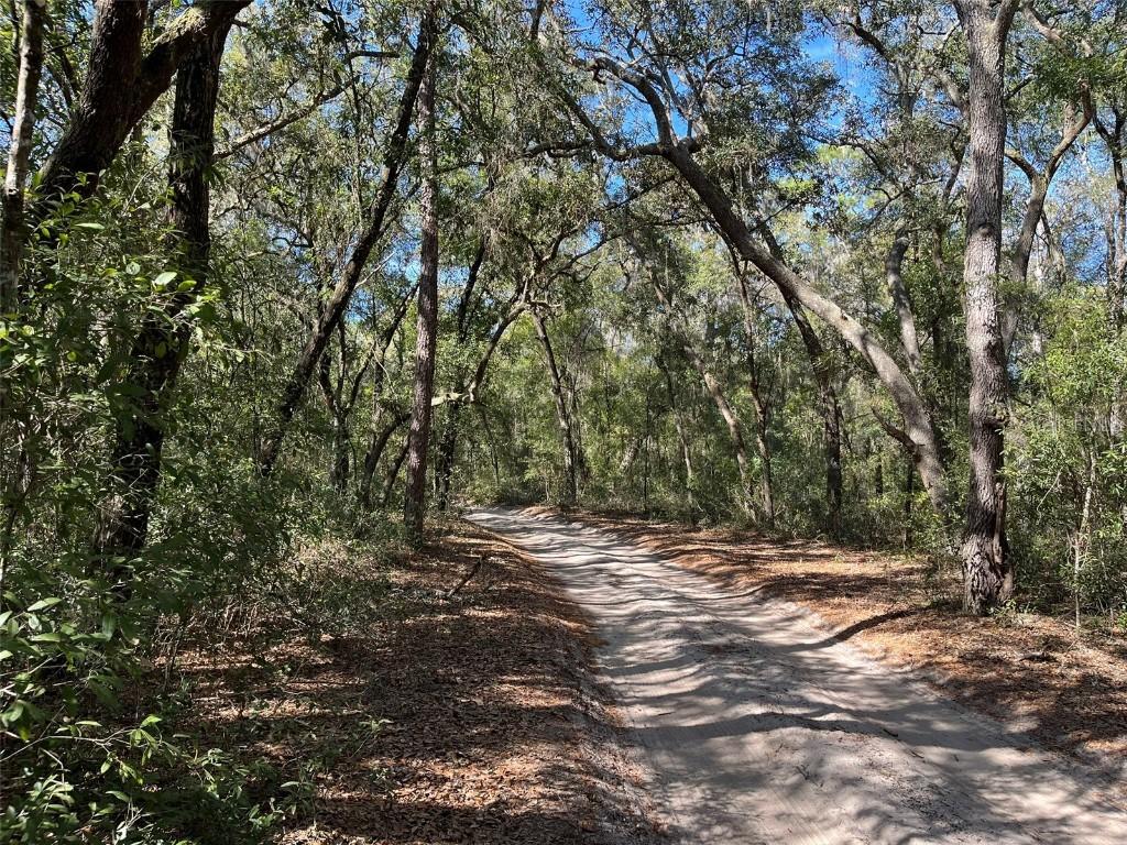 104 Sunset Ln., Interlachen, FL 32148