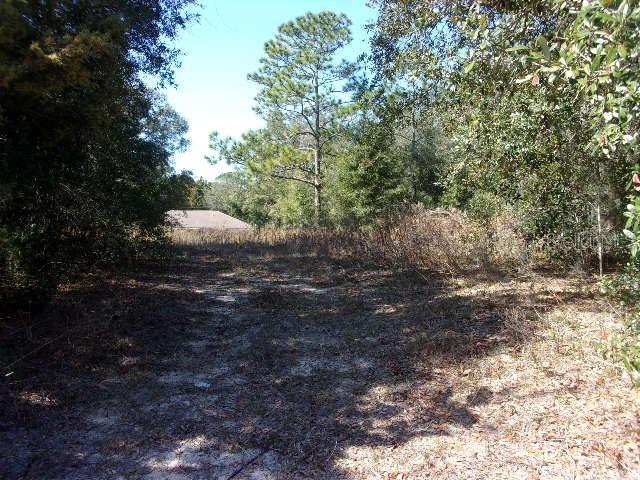 Sw 140th Avenue, Ocala, FL 34481
