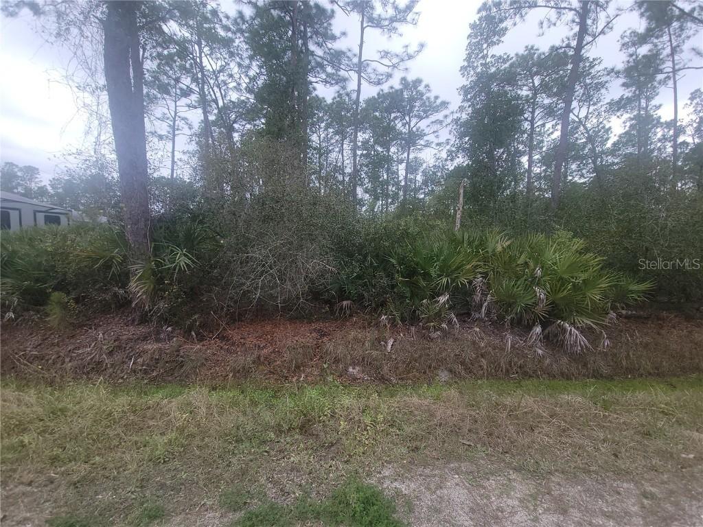11th Ave., Deland, FL 32724