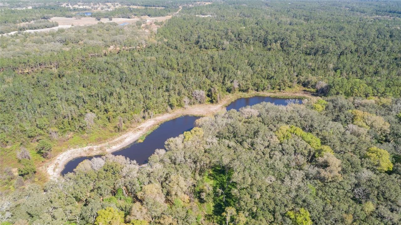 00 Shaw Lake Rd., Pierson, FL 32180