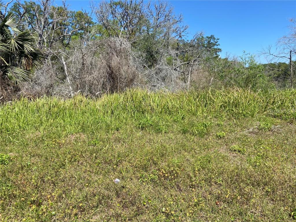 Parcel No 25 17 32 01 02 0280, New Smyrna Beach, FL 32168