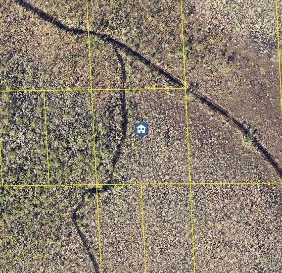No, Deland, FL 32724