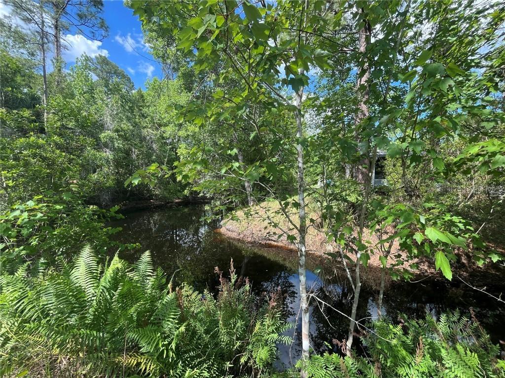 115 Cove Rd., Satsuma, FL 32189