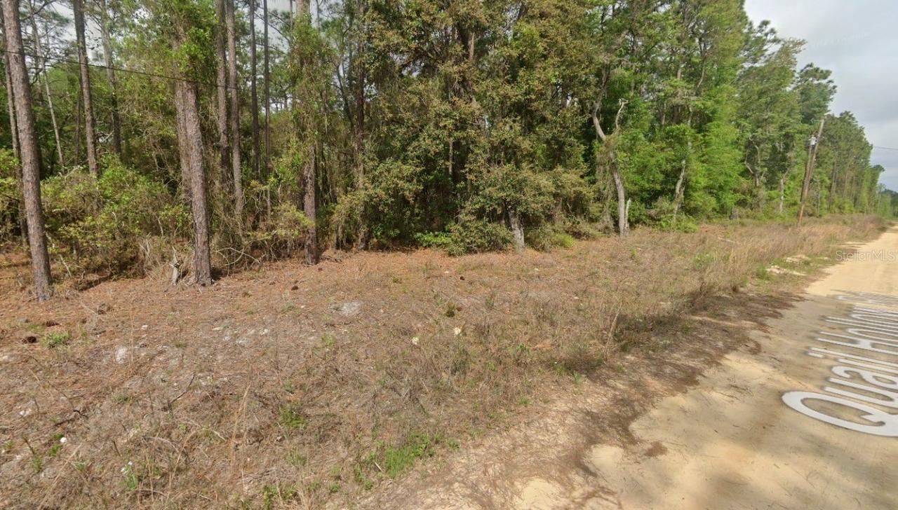0000 Quail Hollow Rd., Satsuma, FL 32189