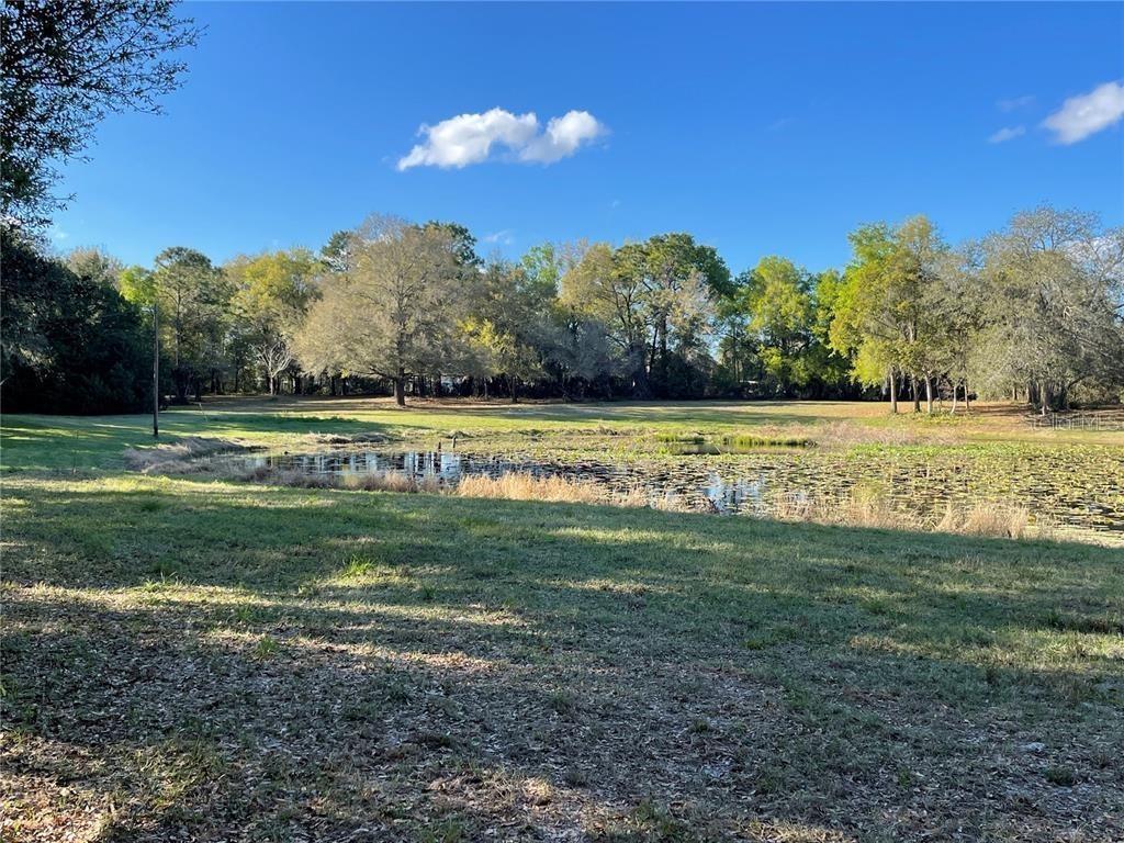 195 Lake Molly Ave., Deland, FL 32724