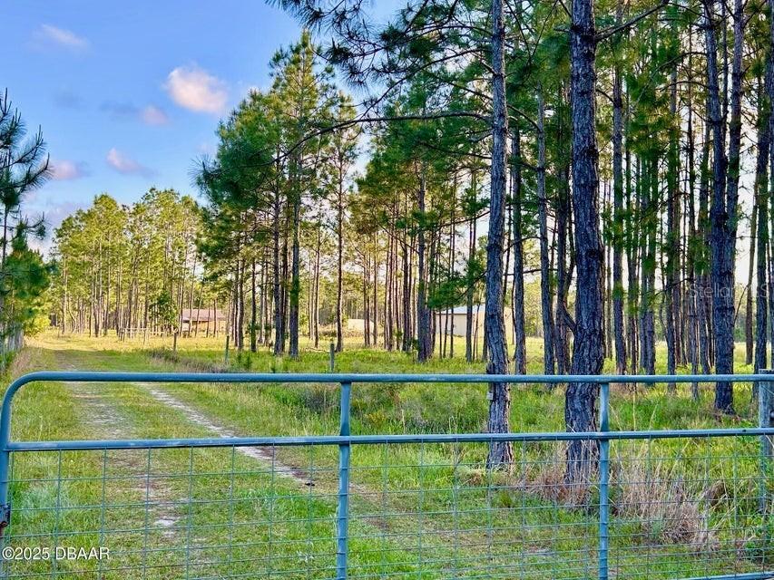 201 Wasick Ln., Ormond Beach, FL 32174