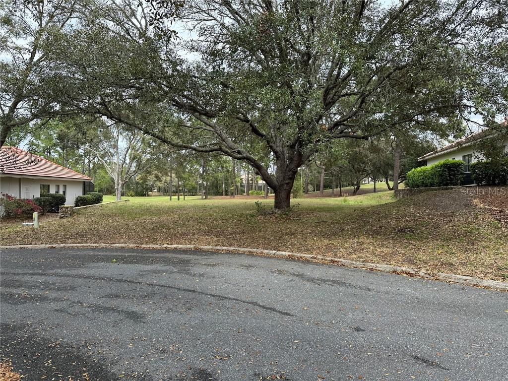 3667 W Treyburn Path, Lecanto, FL 34461