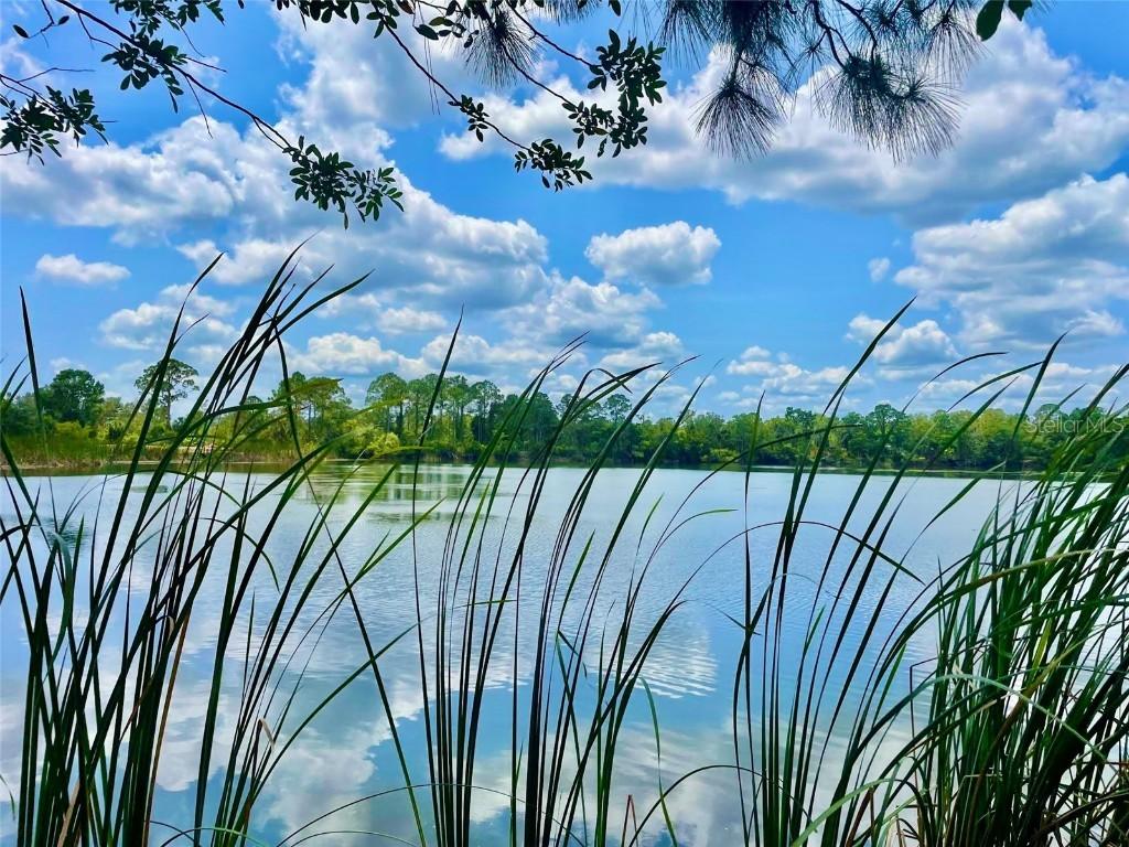 5000 Blounts Ridge Rd., Mims, FL 32754