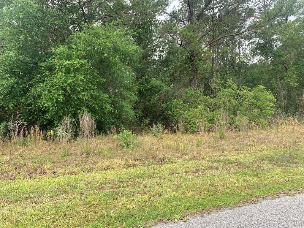 525 Live Oak Loop, Crescent City, FL 32112