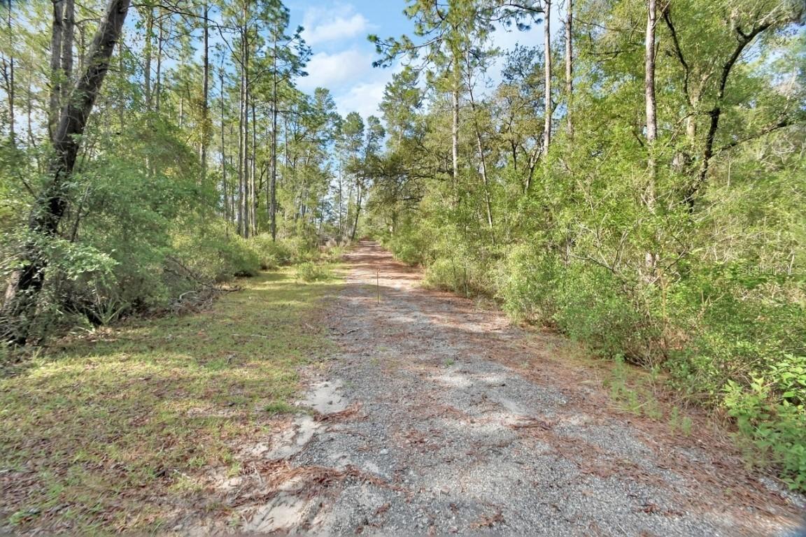 1183 Antilla St., Lake Helen, FL 32744