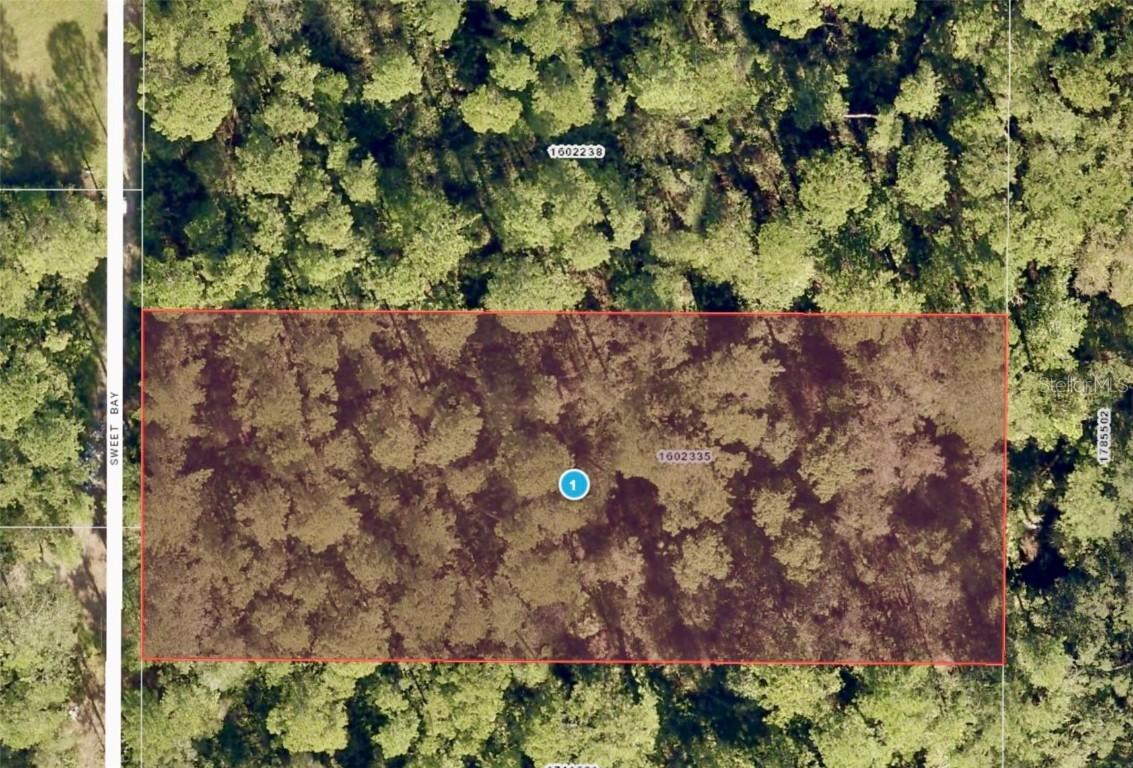 Sweet Bay, DeLand, FL 32720