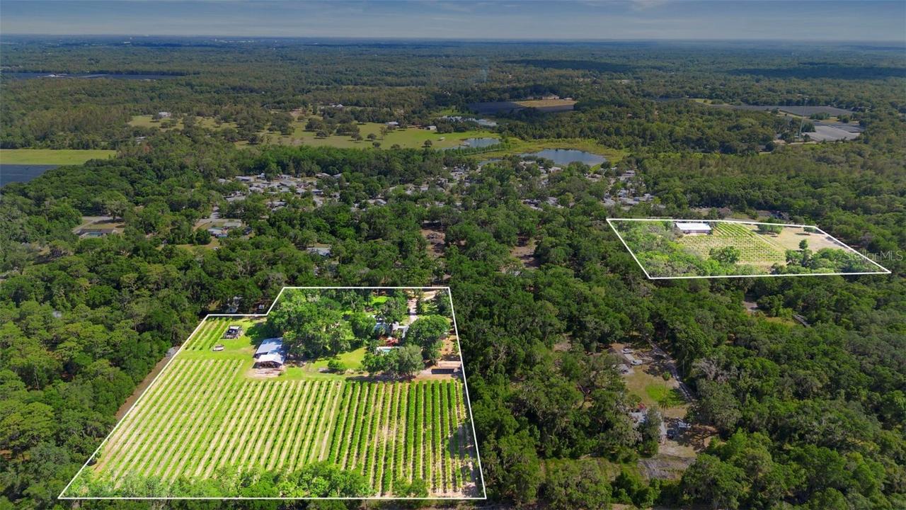 1056 Reynolds Rd., De Leon Springs, FL 32130