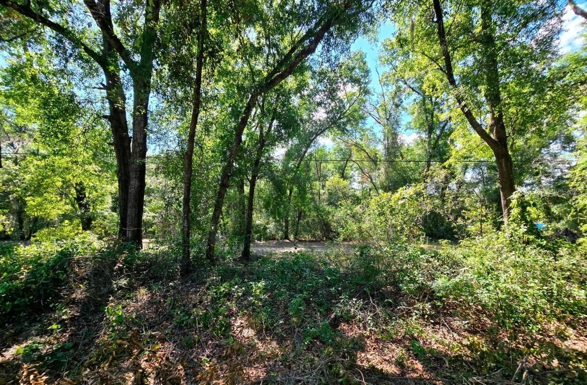 162 Putnam Loop Rd., Melrose, FL 32666