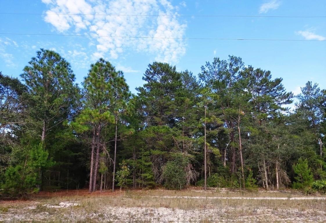 Donovan Ave, Interlachen, FL 32148