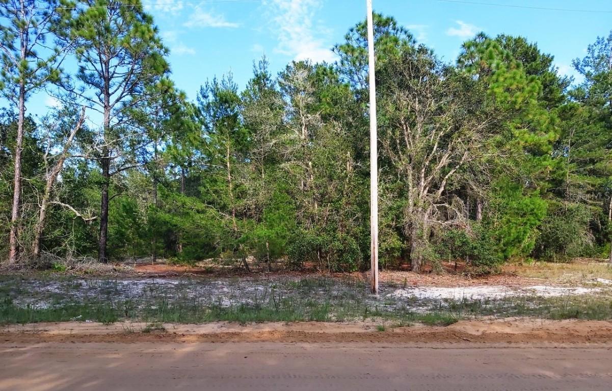 Donovan Ave, Interlachen, FL 32148