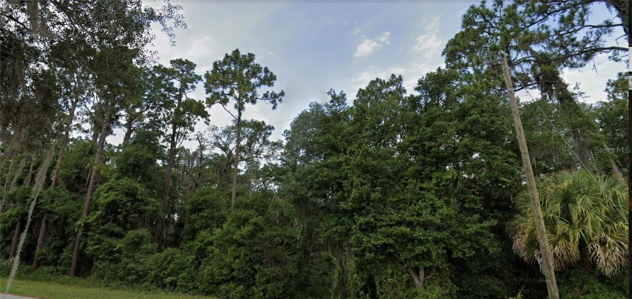 TBD SE Se 49th Street Rd., Ocklawaha, FL 32179