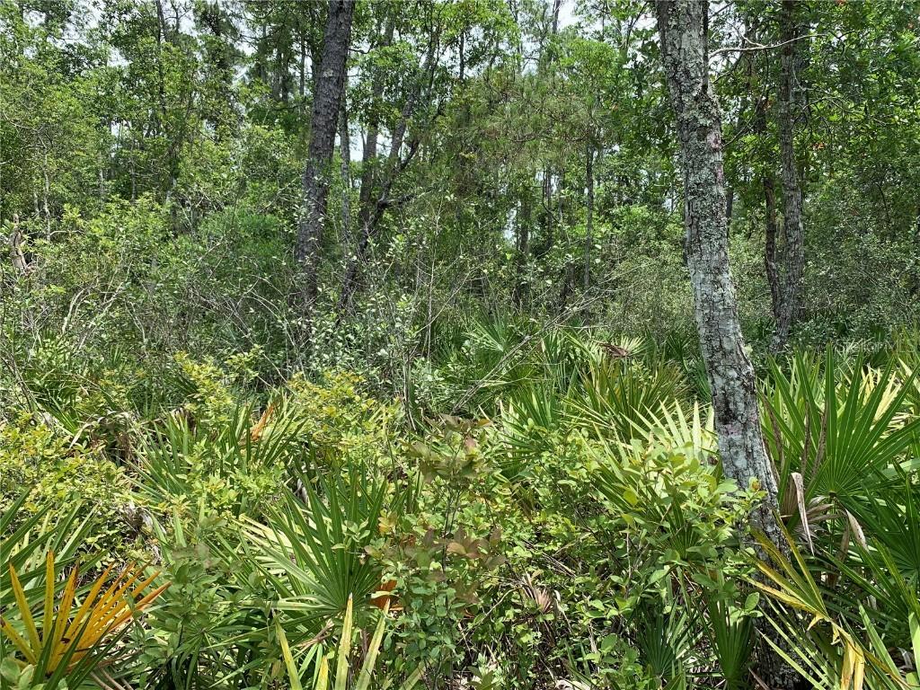 No Name St., Pierson, FL 32180