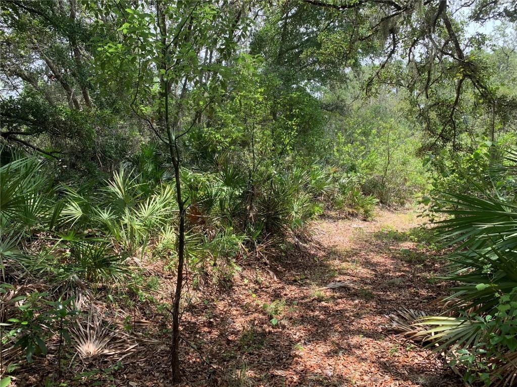 No Name St., Pierson, FL 32180