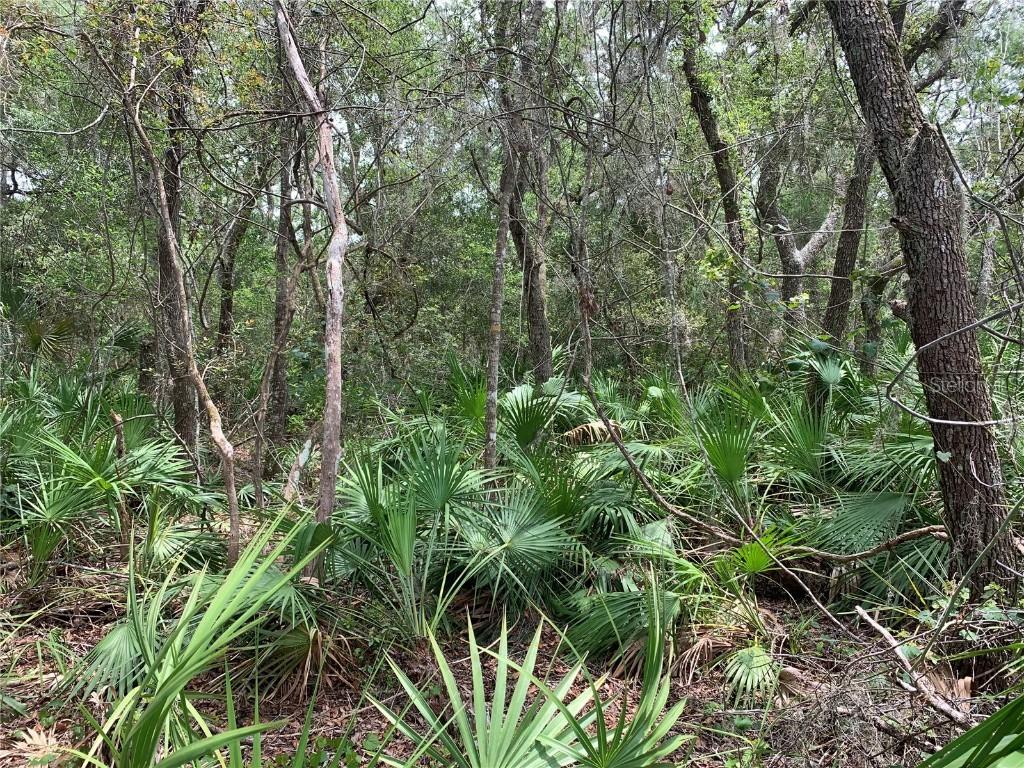 No Name St., Pierson, FL 32180