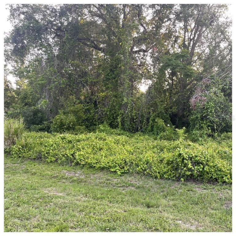 2701 Kingfisher Village, Deland, FL 32720