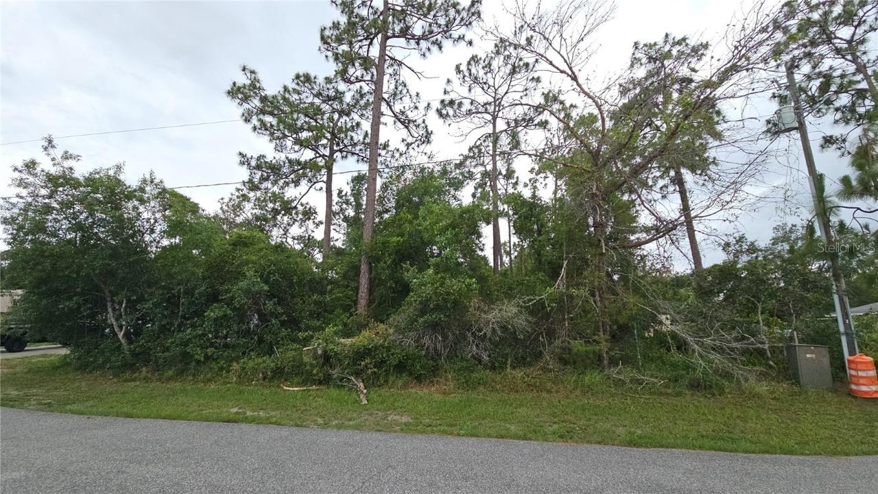 1349 Lodge Ter., Deltona, FL 32738