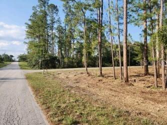 Aspen St., Eustis, FL 32736