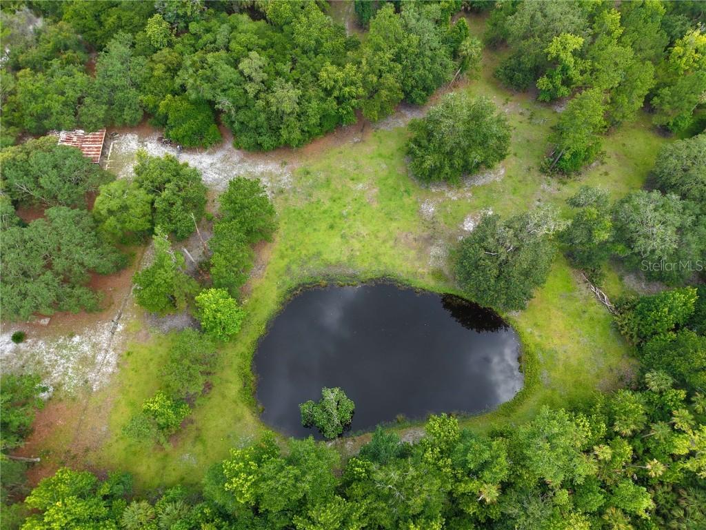1676 Sunset Tr., Geneva, FL 32732