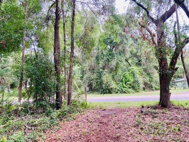 407 Raulerson Rd., Seville, FL 32190