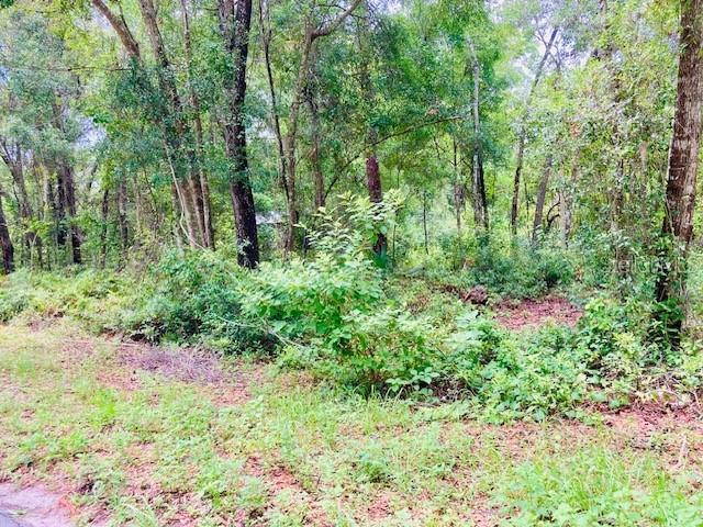 407 Raulerson Rd., Seville, FL 32190