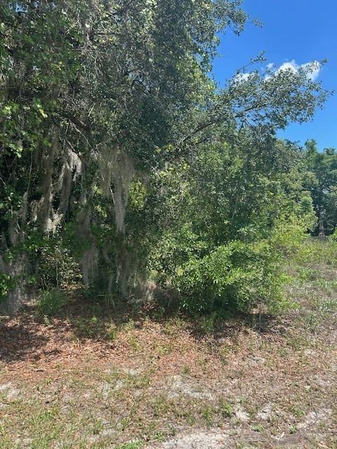 Marta Rd., Debary, FL 32713