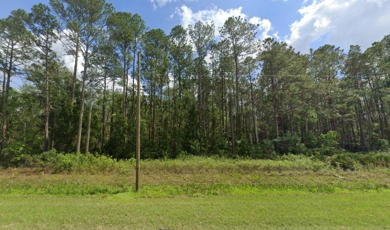 0000 Hwy 92 At Big John Rd Rd., Deland, FL 32724