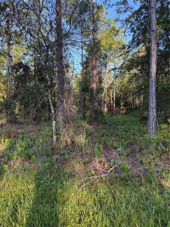 2366 Dogwood St., Bunnell, FL 32110