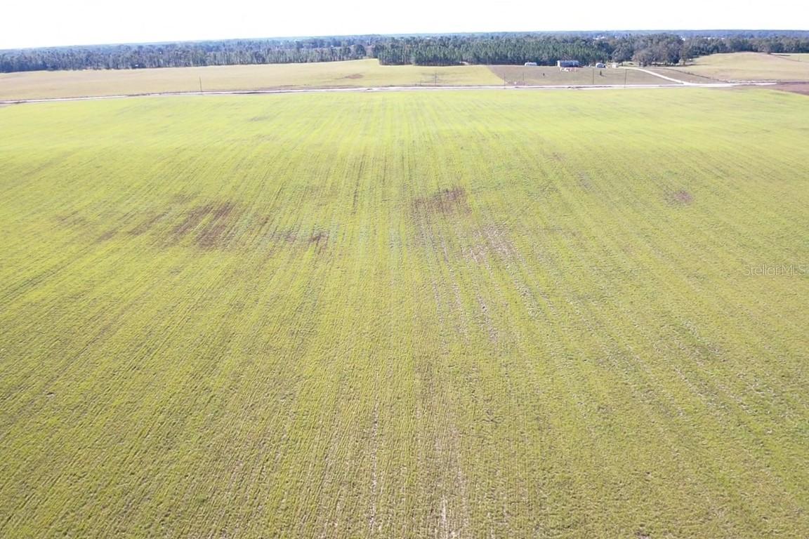 NW 72nd Pl., Bell, FL 32619
