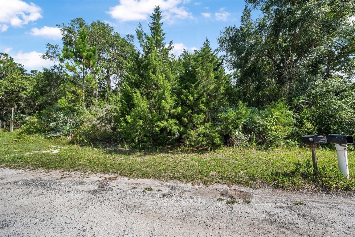 No Street Name, Oak Hill, FL 32759