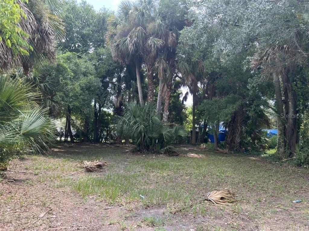321 Rose Ave., Daytona Beach, FL 32114