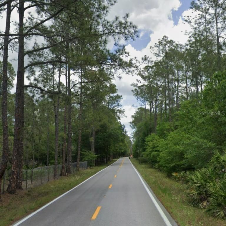Poyner Oaks Rd., Polk City, FL 33868