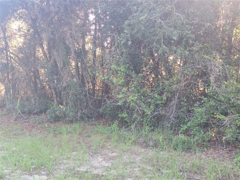 2743 Kingsdale Dr., Deltona, FL 32738