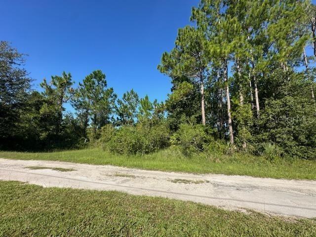 Woodland Ave., Paisley, FL 32767