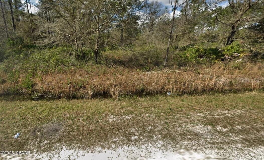 10675 Weatherby Ave., Hastings, FL 32145