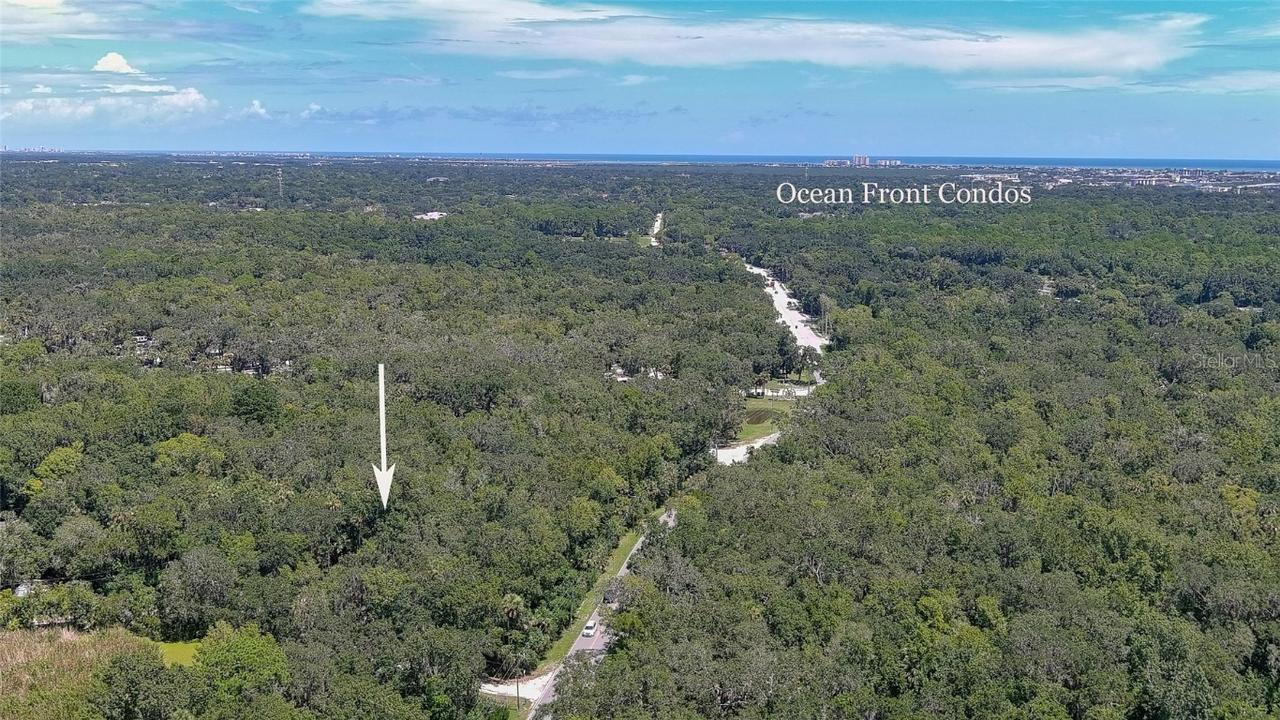 1150 Old Mission Rd., New Smyrna Beach, FL 32168