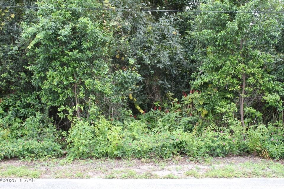 510 Fred Gamble Way, Ormond Beach, FL 32174
