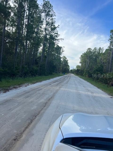 1117 Piney Woods Tr., Osteen, FL 32764