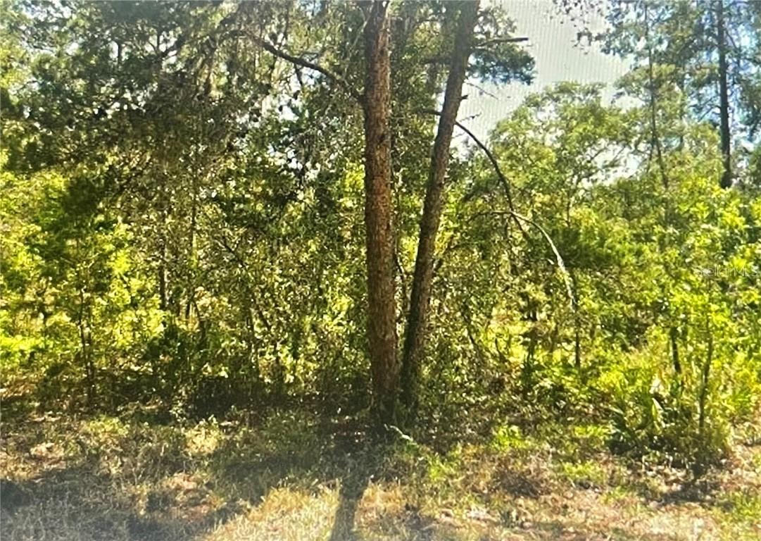 10 Dracaena Ct., Homosassa, FL 34446