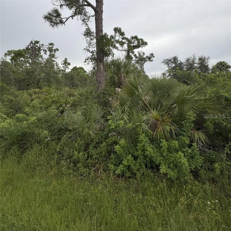 [Address Hidden by Seller], Port Charlotte, FL 33953