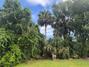 New Homes For Sale This Week That Attend Sugar Mill Elementary School: September 5th to September 11th