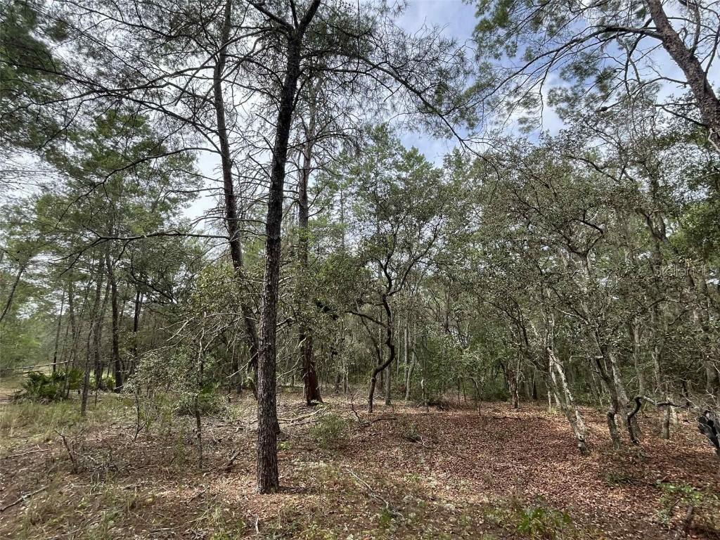 120 & 122 North Carolina Dr., Satsuma, FL 32189
