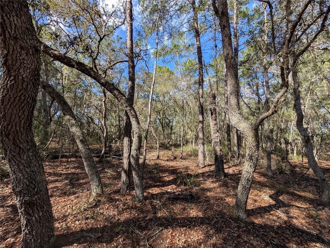 120 & 122 North Carolina Dr., Satsuma, FL 32189