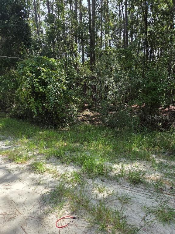 100 Palmetto Ln., Georgetown, FL 32139