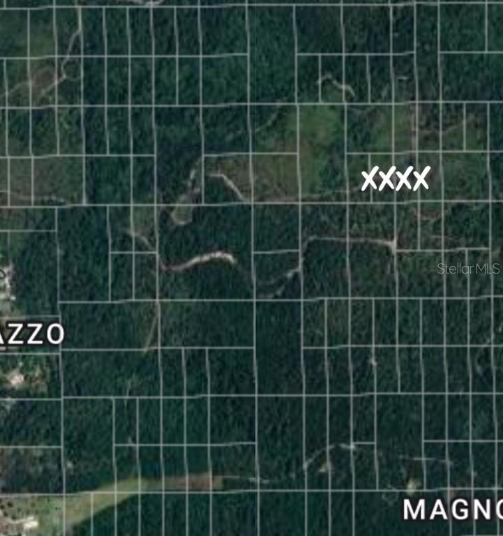 No Name, Deland, FL 32724