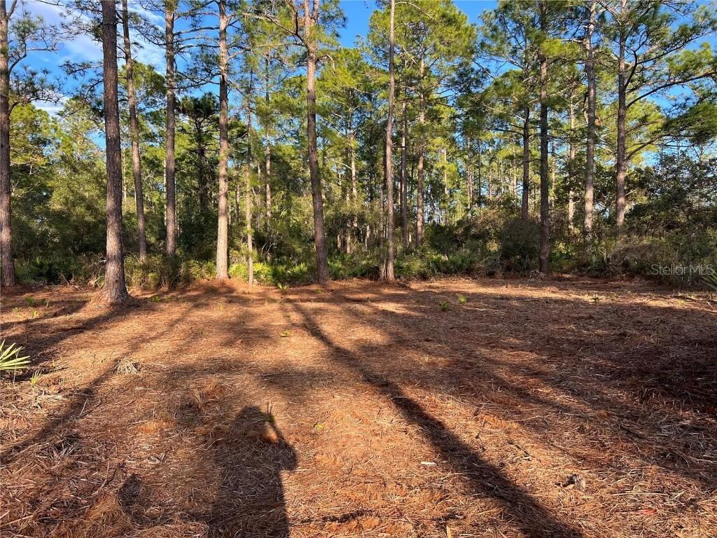 TBD Chinaberry Way, Eustis, FL 32736